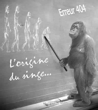 erreur404.jpg